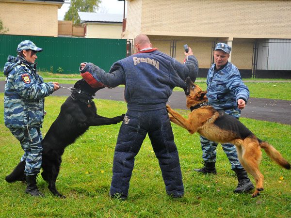 «Служебные