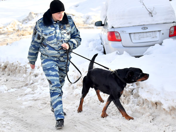 «Служебные