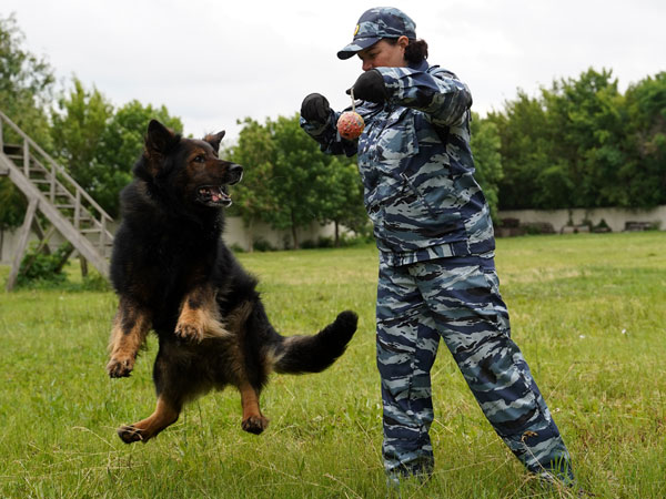 «Служебные