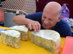 Сыр с плесенью