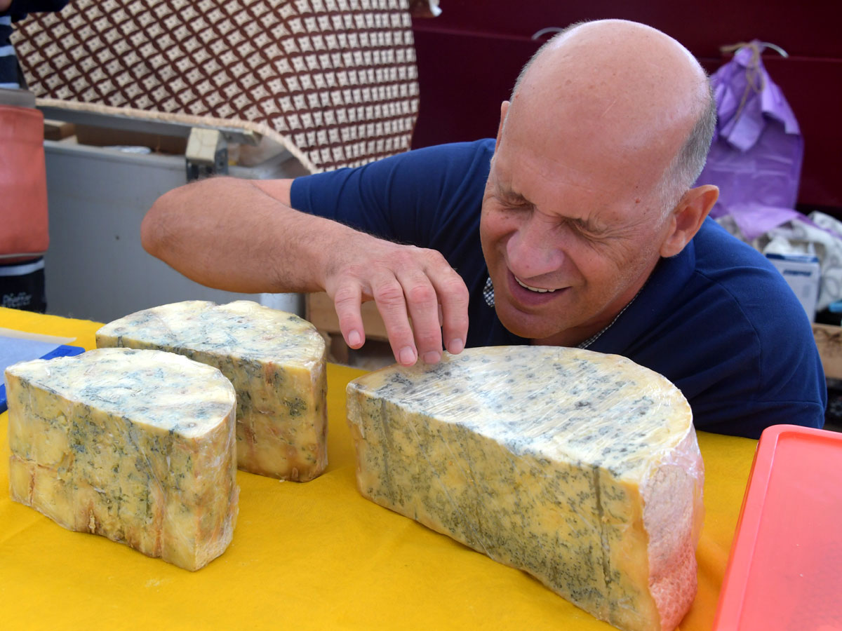 Сыр с плесенью