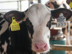 19 февраля - Вуколов день: как вымолить любовь и не остаться без денег