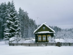 27 февраля - Кирилл Весноуказчик: почему нельзя грустить, жаловаться и менять прическу