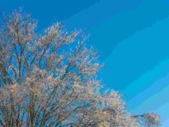 «Агафонник в закромах спины не разгибает»: что можно и что нельзя делать 5 февраля