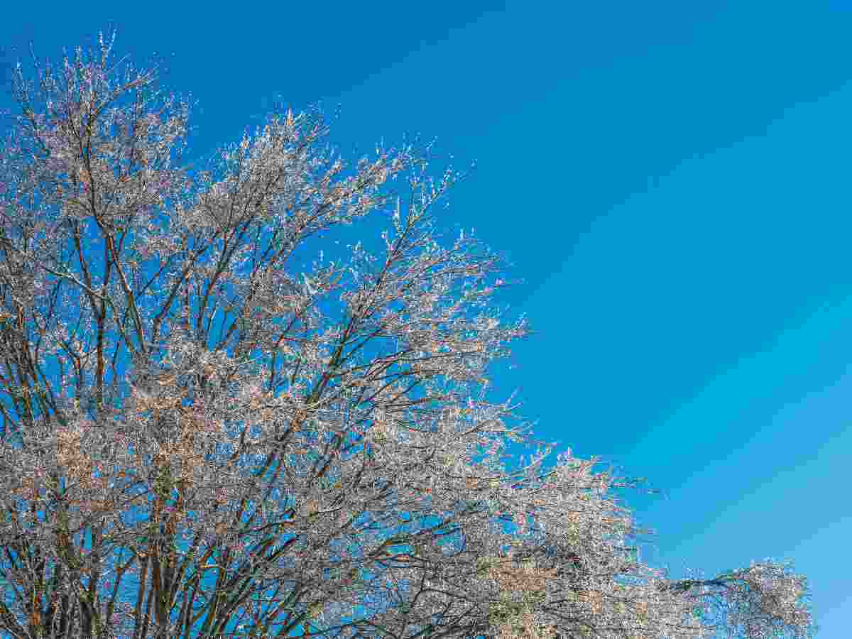 «Агафонник в закромах спины не разгибает»: что можно и что нельзя делать 5 февраля