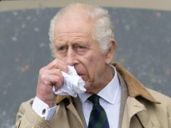 Куча раздора: Карл III выкопал под окнами принца Уильяма гигантскую яму для навоза