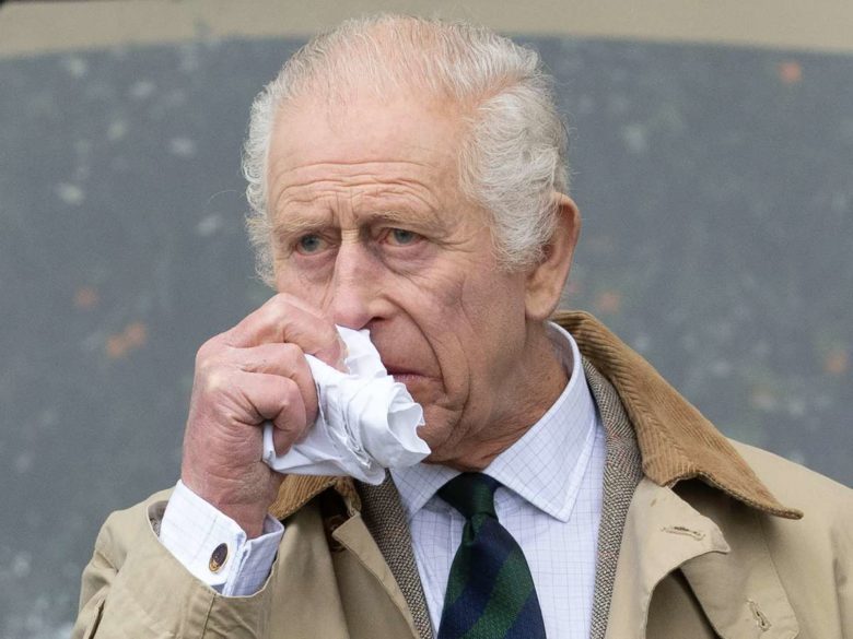 Куча раздора: Карл III выкопал под окнами принца Уильяма гигантскую яму для навоза