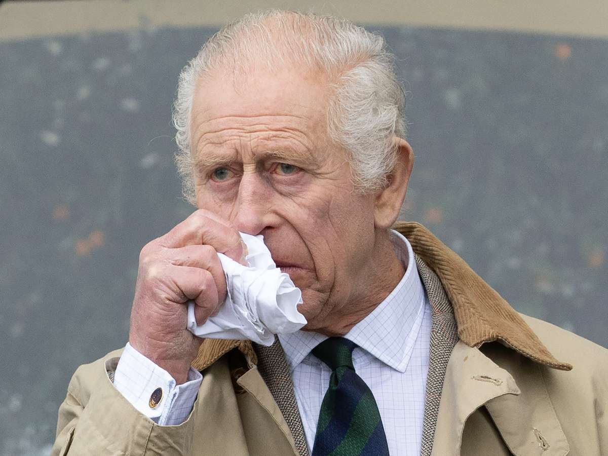 Куча раздора: Карл III выкопал под окнами принца Уильяма гигантскую яму для навоза