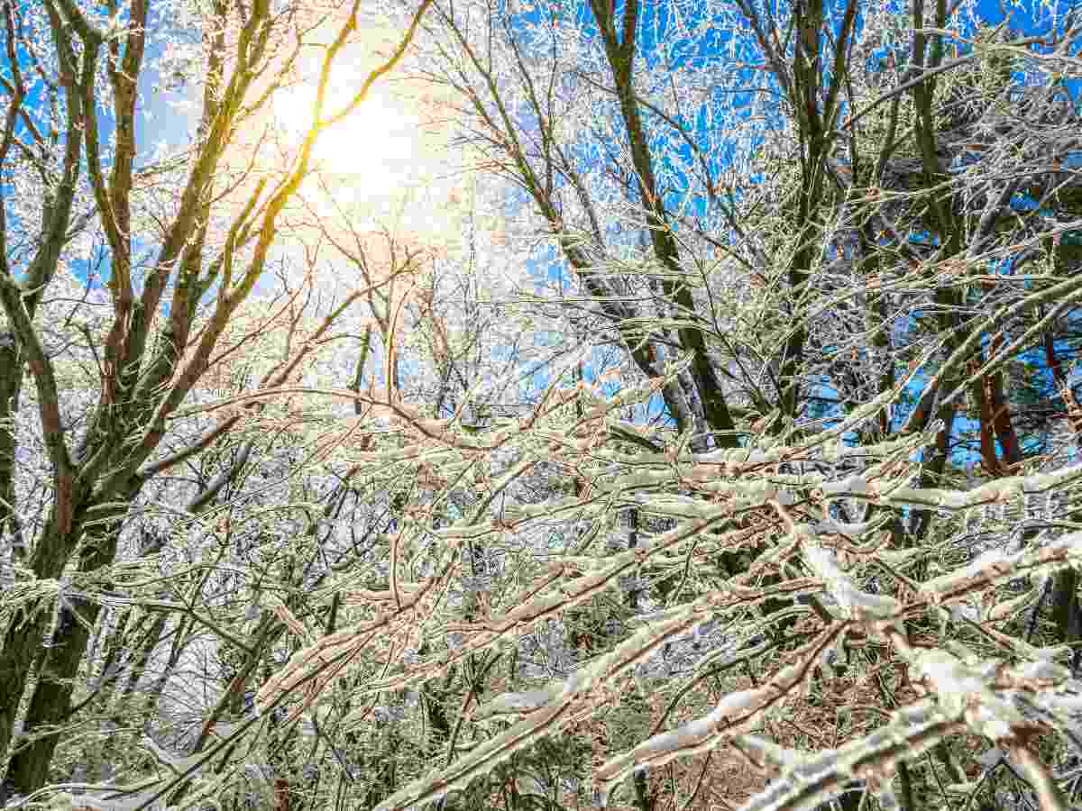 «Не ожидается теплого марта»: когда наступит весна в 2026 году в Москве