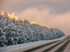 12 марта – Прокоп Дорогорушитель: почему нельзя жадничать и махать рукой на прощание