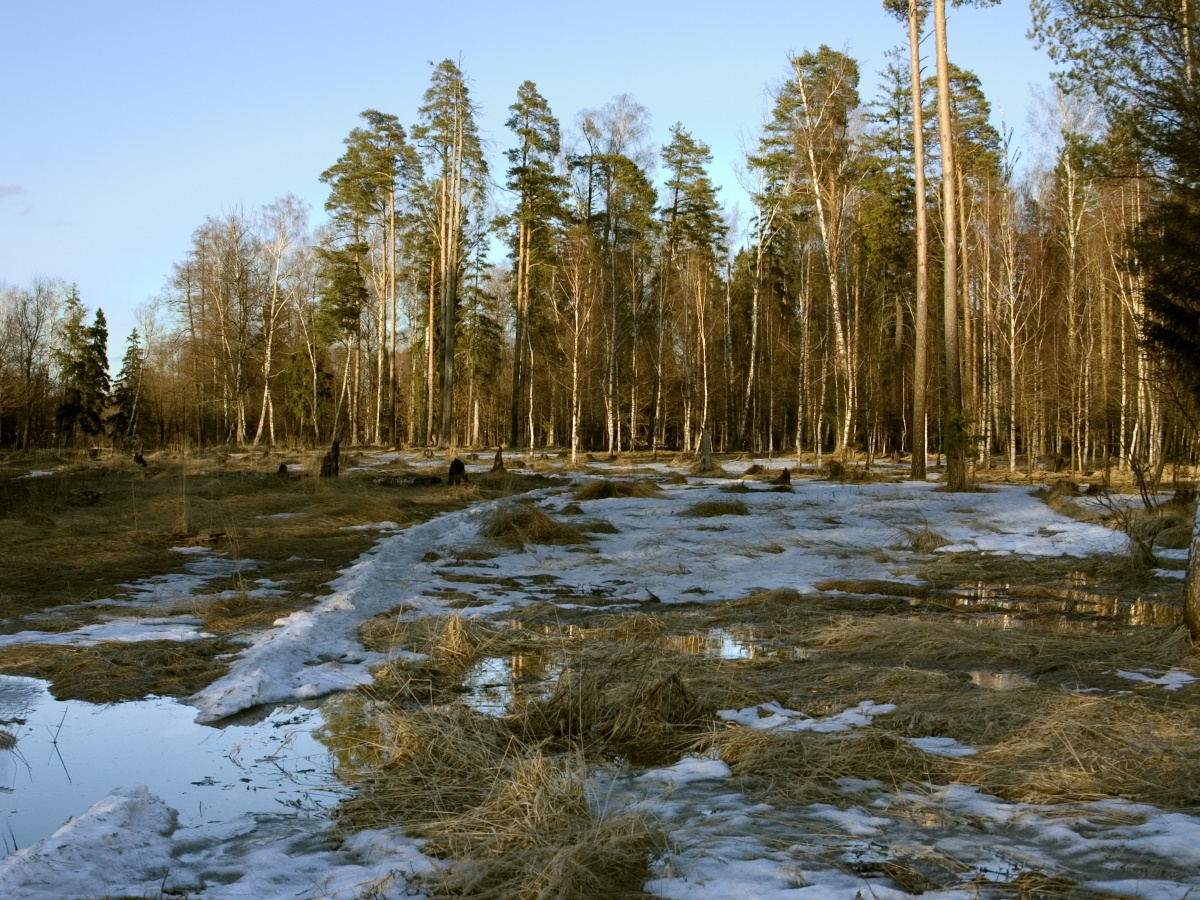 20 марта – Павел Капельник: как отмолить грехи и предсказать погоду