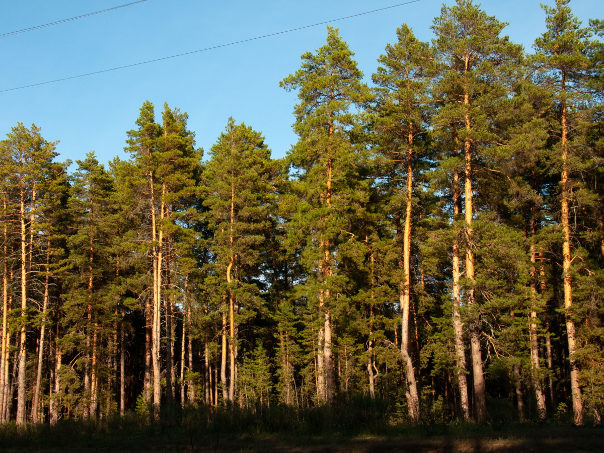 28 марта – Александров день: почему нельзя брать кредит и перебирать вещи в шкафах