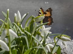 31 марта – Кириллов день: как уберечь малыша от дурной судьбы и избежать проблем с деньгами