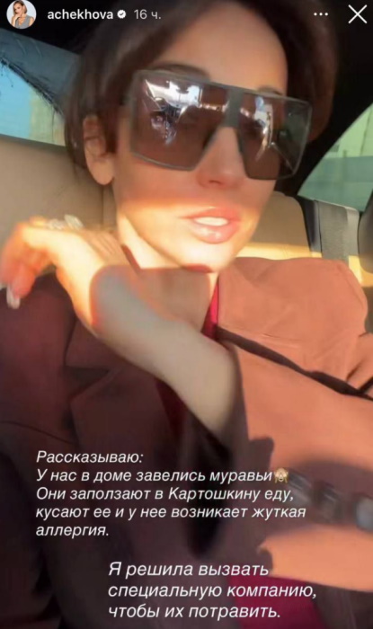 Потравившая муравьев Анфиса Чехова: «Помощница в больнице с аллергическим шоком, а собаку рвало без остановки»