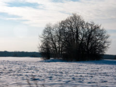 Как избежать нищеты и не забрать чужие горести: что можно и нельзя делать в Маврикиев день 7 марта