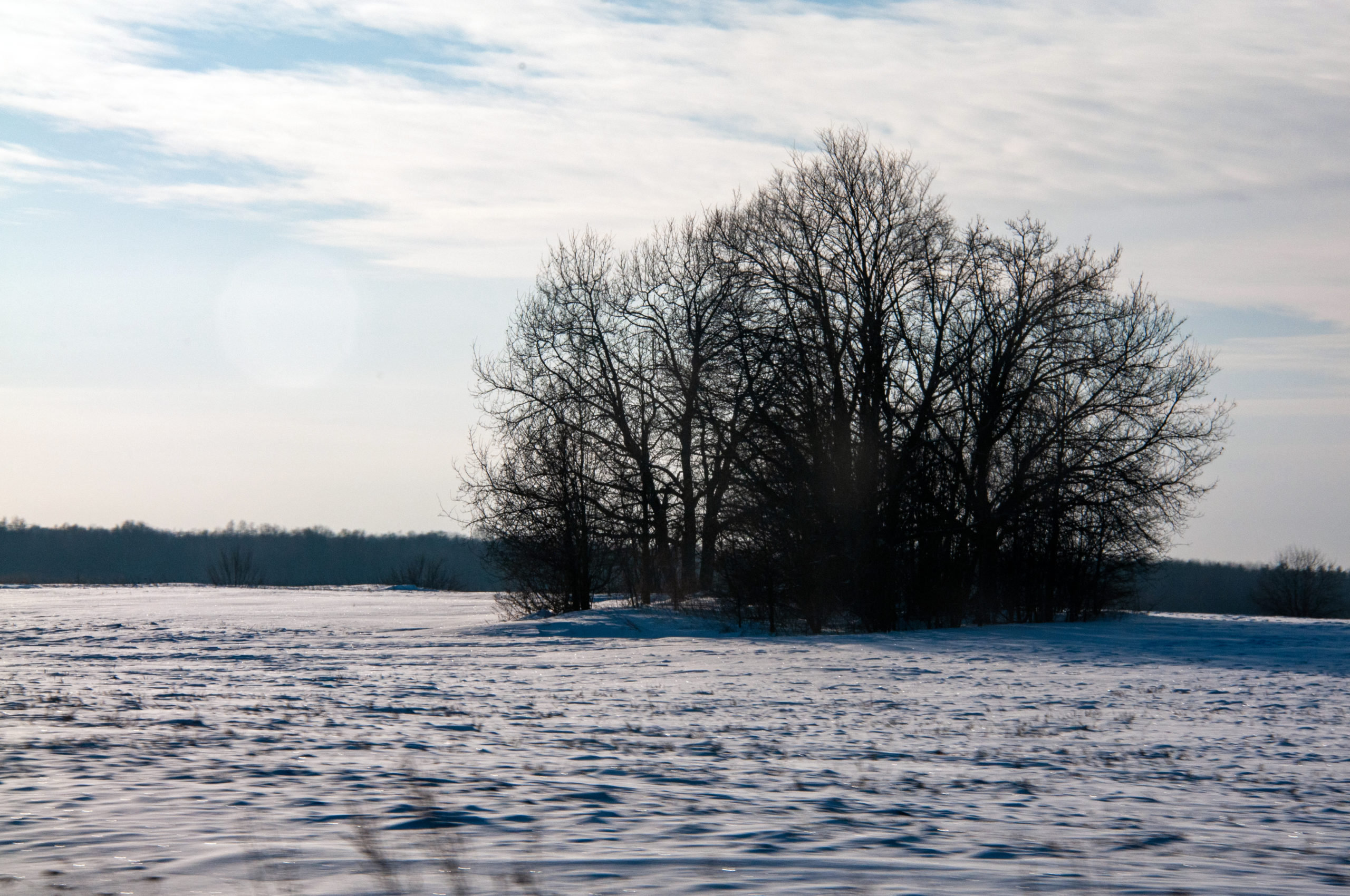 Как избежать нищеты и не забрать чужие горести: что можно и нельзя делать в Маврикиев день 7 марта