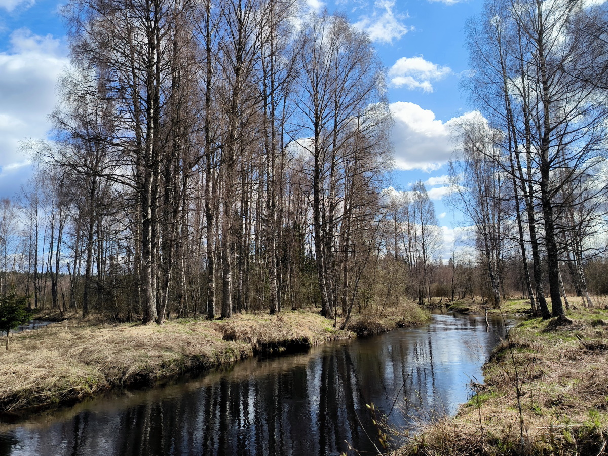 Как привлечь деньги и загадать желание в Ефимов день 24 марта