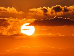 Летнее тепло и апрельский снег? Какая погода будет в Москве с 28 марта