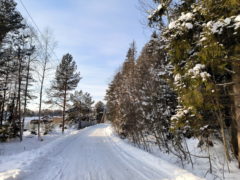 Обходим красоток, а веселье откладываем на потом: что можно и нельзя делать в день Порфирия Позднего 11 марта