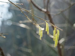 17 апреля — Иосиф Песнопевец: почему нельзя покупать новые вещи и долго спать