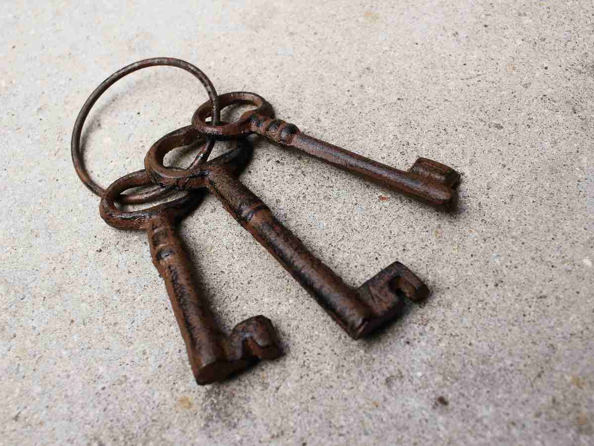 22 апреля — день Вадима Ключника: главные запреты и обряды для здоровья