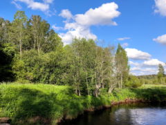 25 апреля - день Василия Парийского: почему нельзя пить много воды и прибираться в шкафах