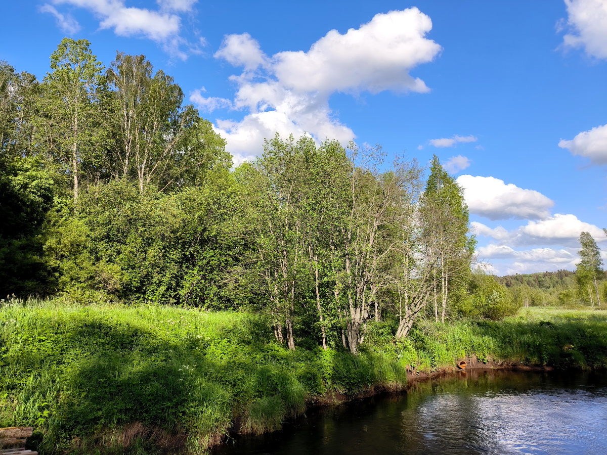 25 апреля - день Василия Парийского: почему нельзя пить много воды и прибираться в шкафах