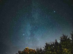 До 18 метеоров в час: когда и где увидеть звездопад Лириды в 2026 году