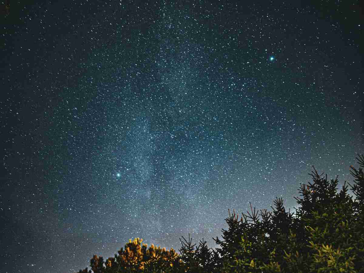 До 18 метеоров в час: когда и где увидеть звездопад Лириды в 2026 году