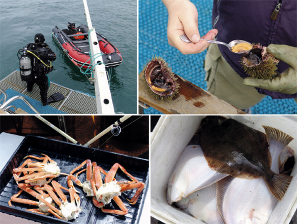 «Камчатка»