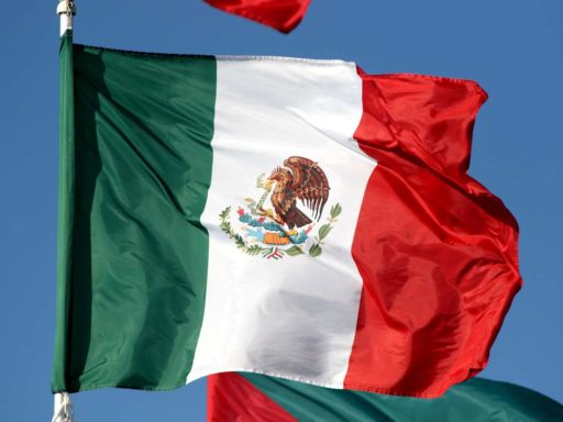 Остался месяц до продажи в рабство: похищенная в Мексике дочь российской пианистки отказывается от помощи и возвращения в РФ