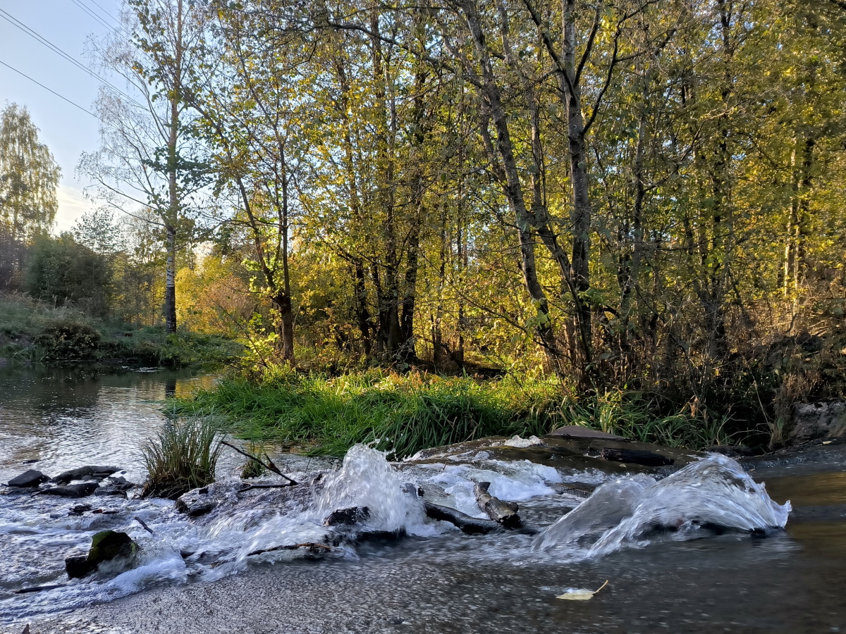 Умываемся без полотенца и откладываем уборку на потом: что нельзя делать в Родионов день 21 апреля