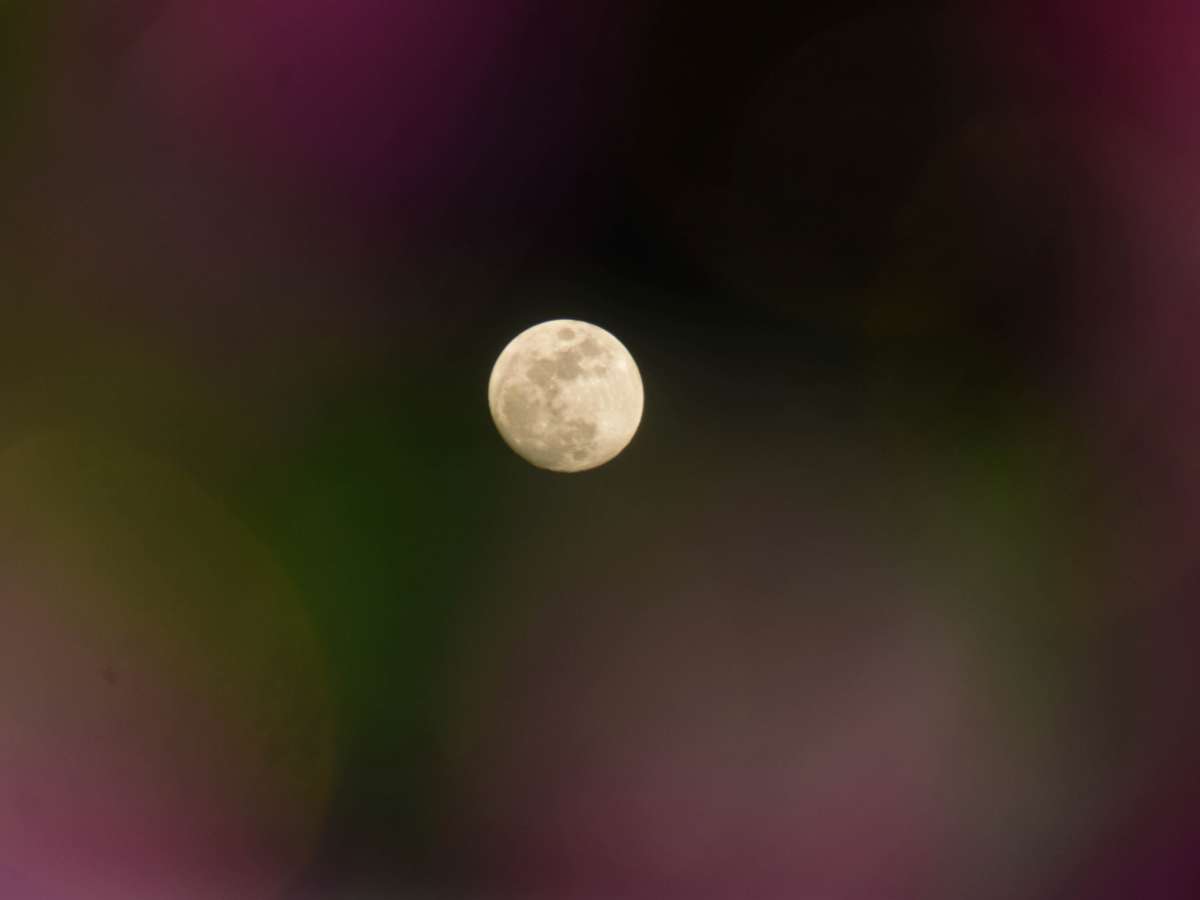 В ночь с 1 на 2 апреля взойдет Розовая Луна: где и как ее можно увидеть