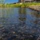 Чудеса Купальницы 20 мая: как зарядить воду солнцем, спасти урожай и защитить детей от болезни