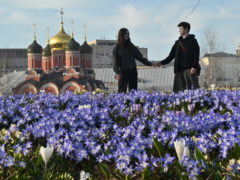 Когда в Москве наступит метеорологическое лето: прогноз погоды на май