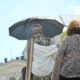 «На 10 градусов выше нормы»: какая погода будет в Москве с 16 мая