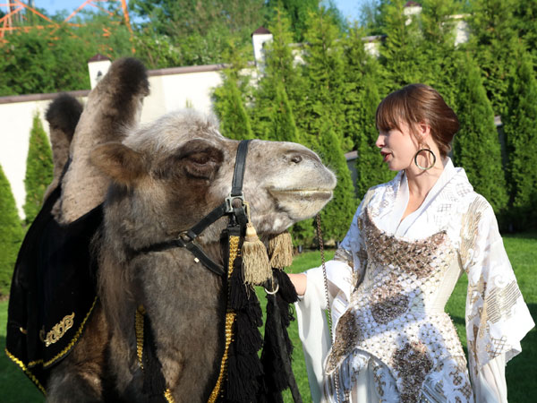 «Полина
