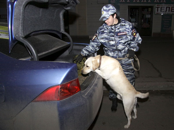 «Служебные