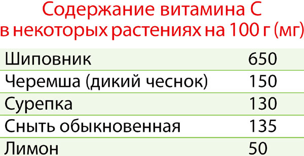 «Трава»