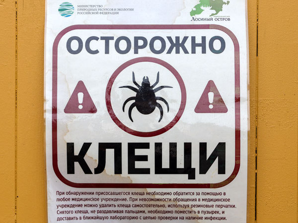 «Клещ»