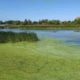 Табу Антония Рясочника: что категорически нельзя делать у открытых водоемов 23 июля
