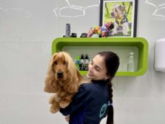 Когти впиваются в лапы, а колтуны скрывают болезни. Что грумер может заметить раньше хозяина