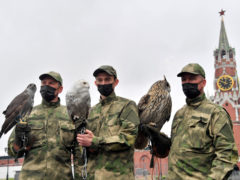 Сотрудники орнитологической службы Кремля со своими птицами