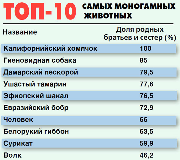 «Топ»