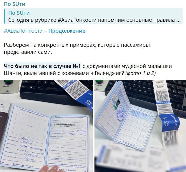 «Отсутствовал штамп»: в «Аэрофлоте» ответили на обвинения жены Павла Прилучного в самоуправстве