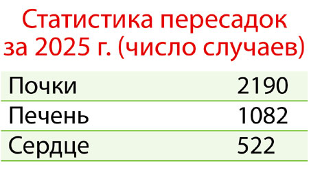 «Трансплантация»